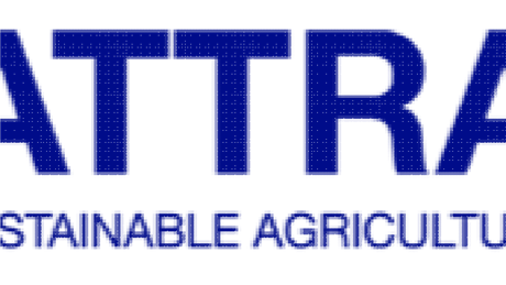 Group Banner Picture